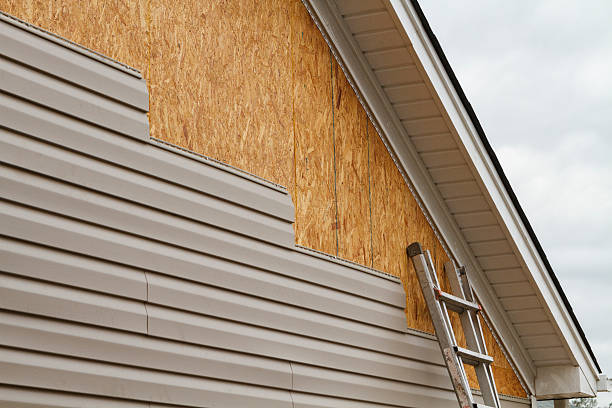 Professional Siding Repair technician working in Triadelphia, WV
